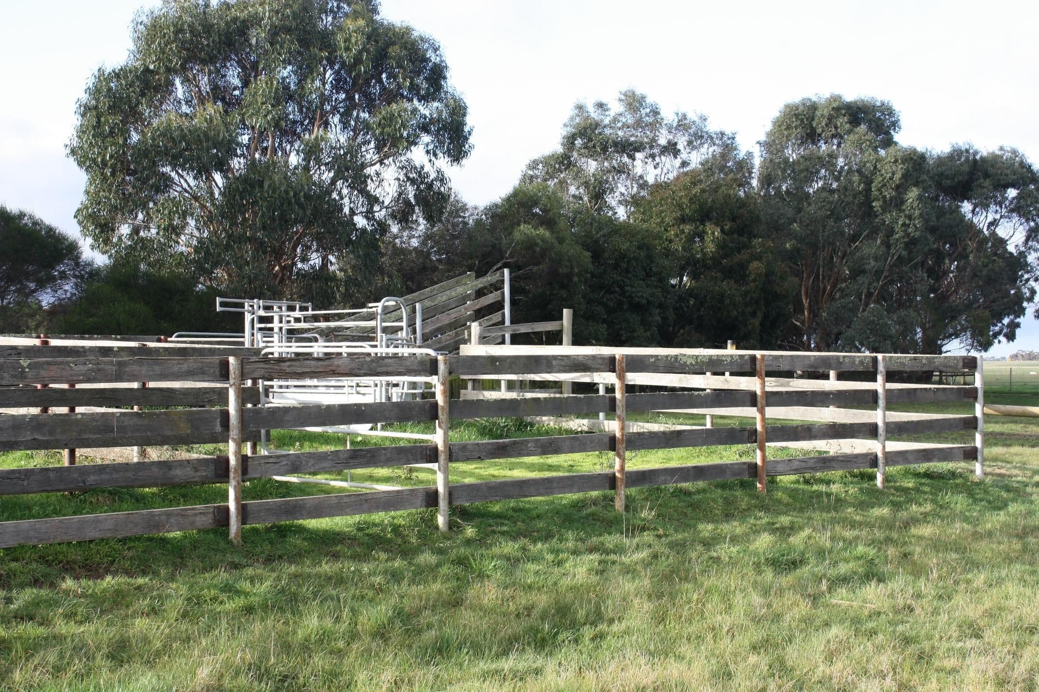 169 Caramut - Chatsworth Road, CARAMUT VIC 3274, Caramut - Thumbnail 6