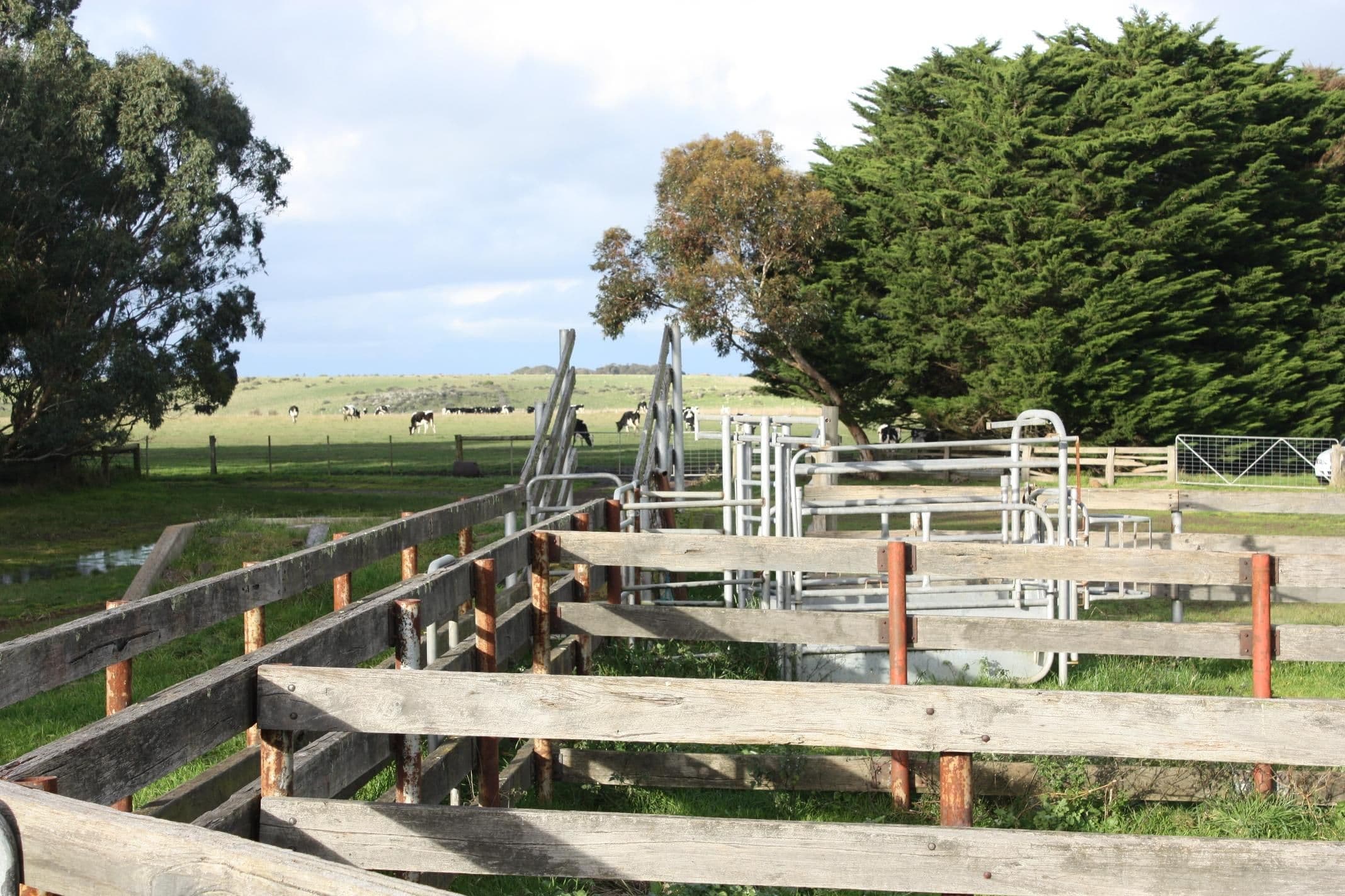 169 Caramut - Chatsworth Road, CARAMUT VIC 3274, Caramut - Thumbnail 7