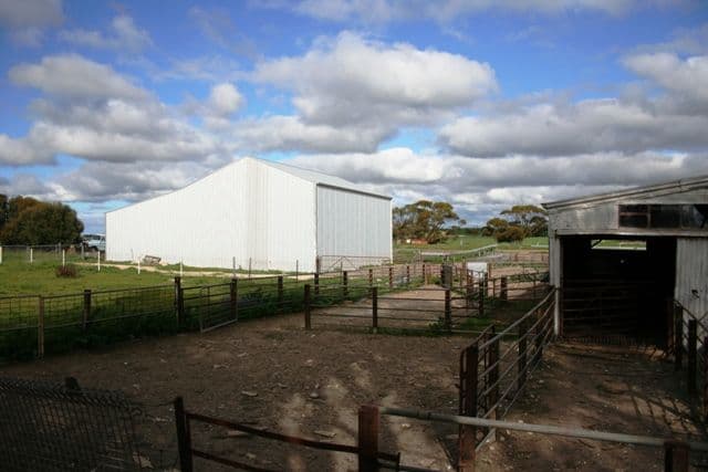 Lanark Sec 27 Butler Center Road, BUTLER SA 5605, Butler - Thumbnail 4