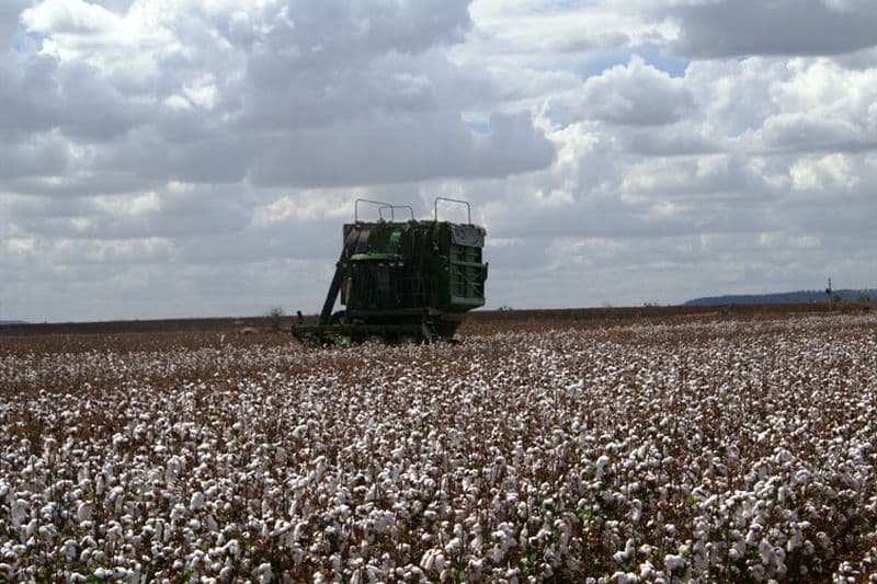EMERALD QLD 4720, Emerald - Thumbnail 2