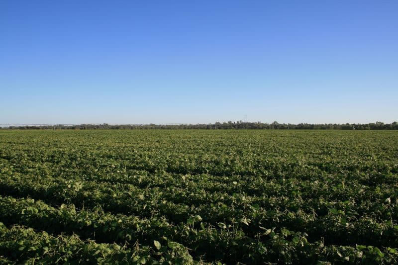 EMERALD QLD 4720, Emerald - Thumbnail 6