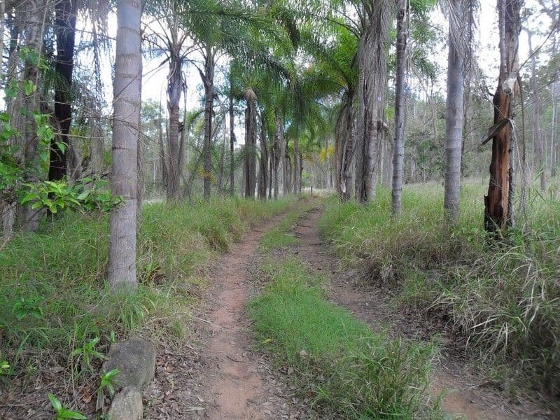 MOUNT HALLEN QLD 4312, Mount Hallen - Thumbnail 3