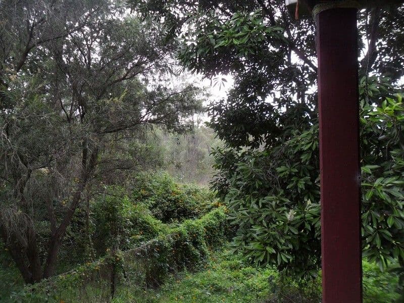 MOUNT HALLEN QLD 4312, Mount Hallen - Thumbnail 6