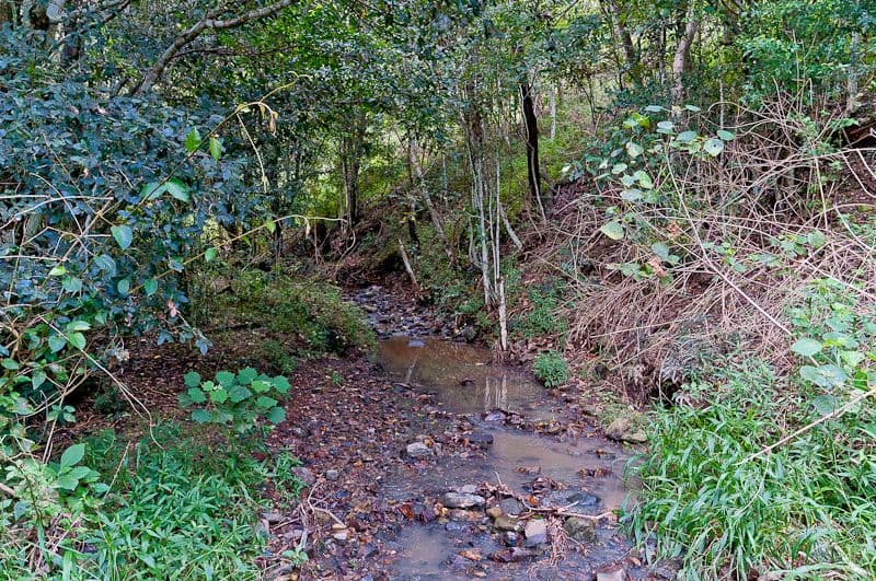 36 Woodfern Court, SAMFORD VALLEY QLD 4520, Samford Valley - Thumbnail 7