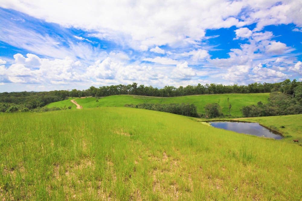 128 Hipathites Road, KOBBLE CREEK QLD 4520, Kobble Creek - Image 1