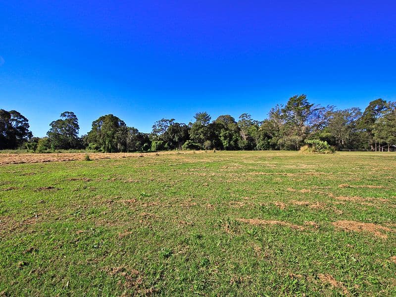 250 Birds Road, GUANABA QLD 4210, Guanaba - Thumbnail 5