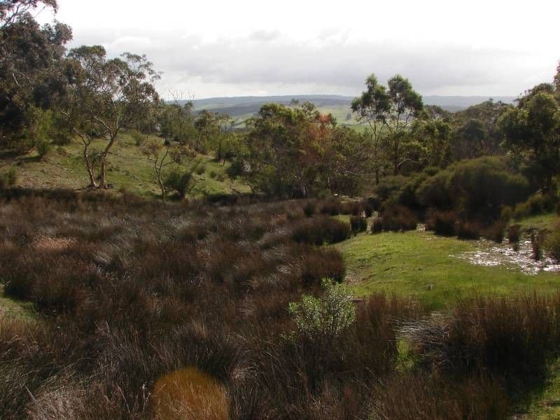 Lot 653 Range Road, WAITPINGA SA 5211, Waitpinga - Thumbnail 3