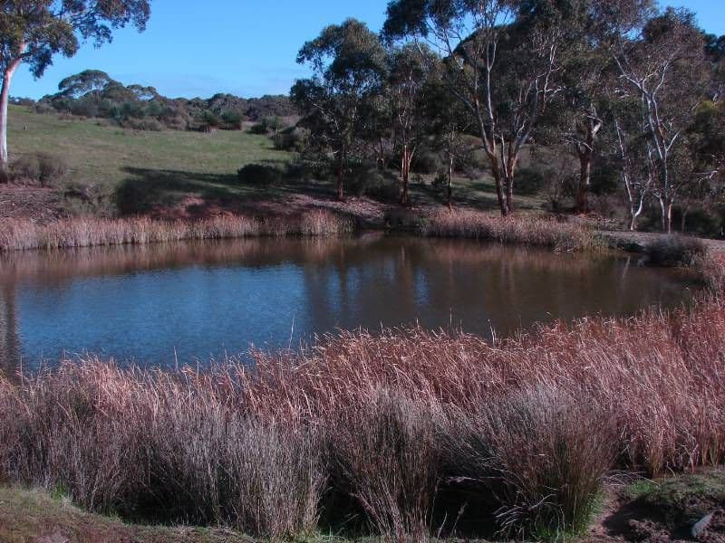 Lot 653 Range Road, WAITPINGA SA 5211, Waitpinga - Thumbnail 5
