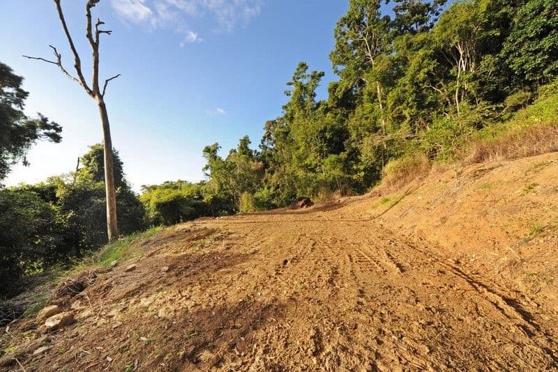 28 Eshelby Drive, CANNONVALE QLD 4802, Cannonvale - Thumbnail 7