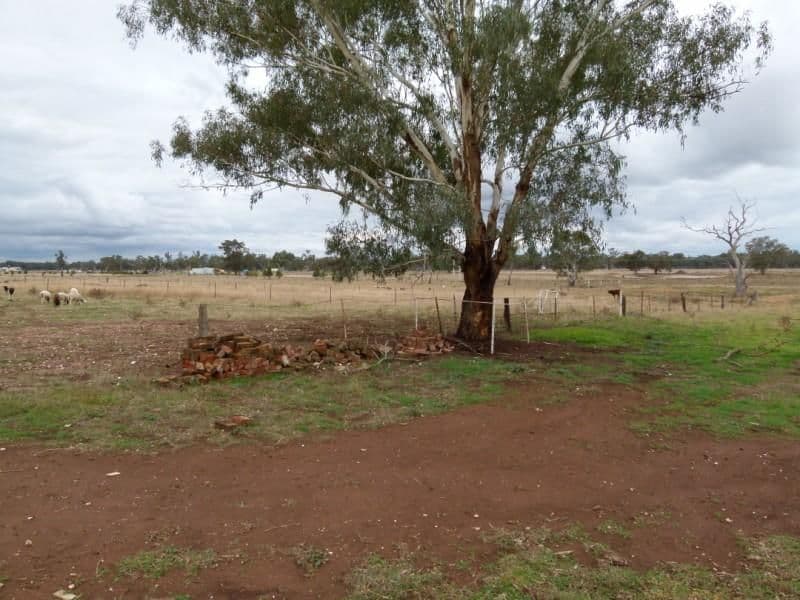 7 Hereford Street, FORBES NSW 2871, Forbes - Thumbnail 7