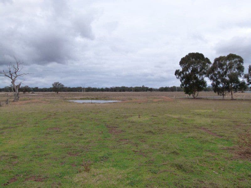 7 Hereford Street, FORBES NSW 2871, Forbes - Thumbnail 2