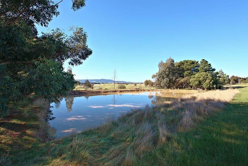 70 Twenty Second Avenue, EDEN PARK VIC 3757, Eden Park - Thumbnail 6