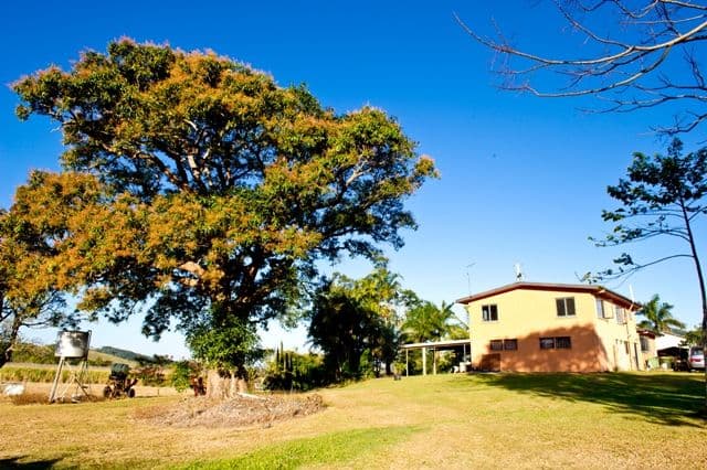 30 Moohins Road, HABANA QLD 4740, Habana - Thumbnail 3