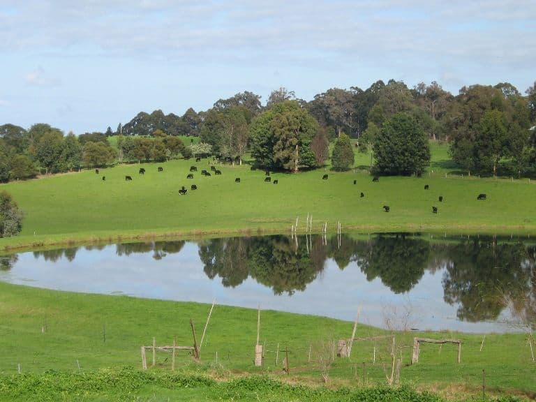 Lot 2 Vasse Highway, PEMBERTON WA 6260, Pemberton - Thumbnail 5