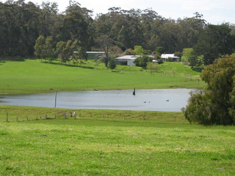 Lot 2 Vasse Highway, PEMBERTON WA 6260, Pemberton - Image 1
