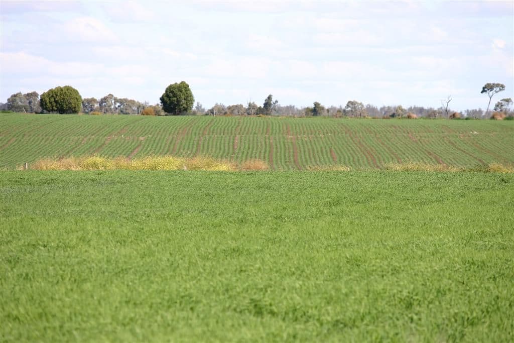 DALBY QLD 4405, Dalby - Thumbnail 7