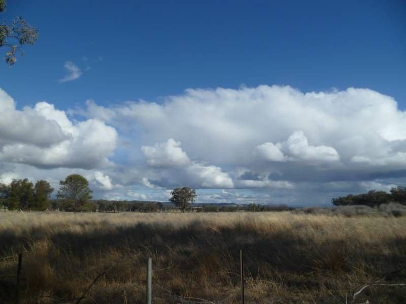 161 Minnamurra Lane, INVERELL NSW 2360, Inverell - Thumbnail 4