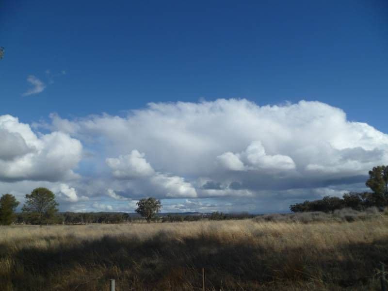 161 Minnamurra Lane, INVERELL NSW 2360, Inverell - Thumbnail 2