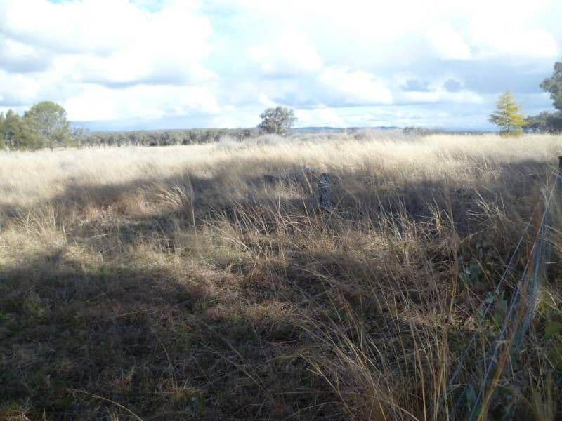 161 Minnamurra Lane, INVERELL NSW 2360, Inverell - Thumbnail 3