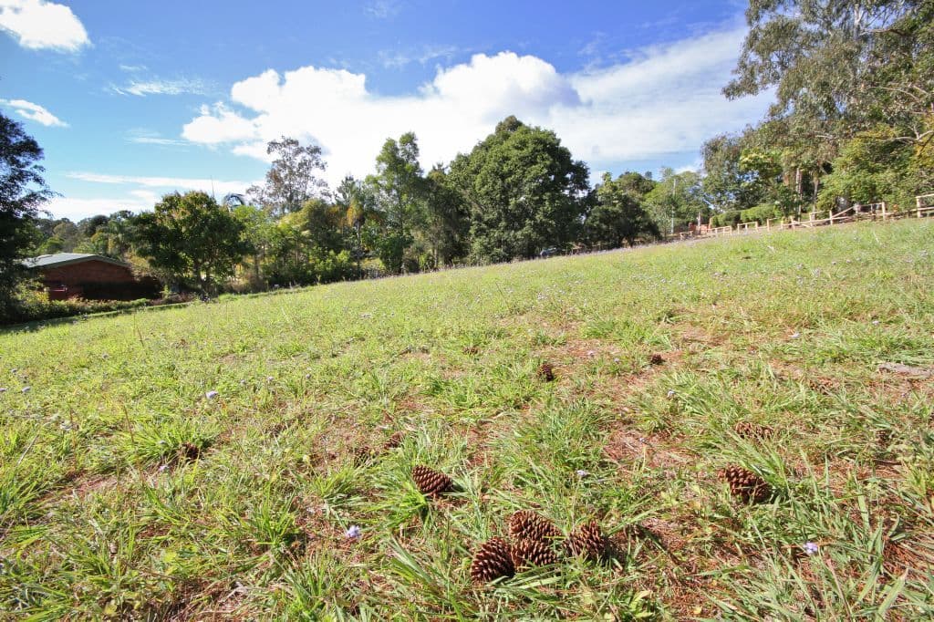 5 Veronica Drive, TALLAI QLD 4213, Tallai - Thumbnail 4