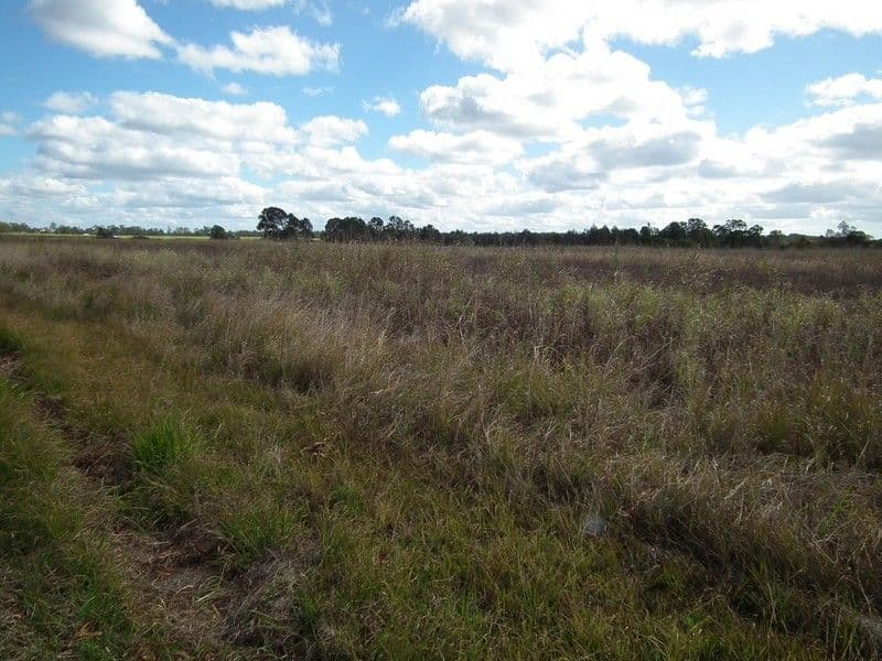 LOT 1 River Road, MARYBOROUGH QLD 4650, Maryborough - Thumbnail 2
