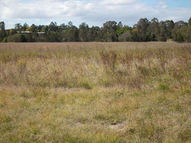 LOT 1 River Road, MARYBOROUGH QLD 4650, Maryborough - Thumbnail 6