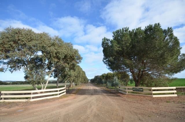 "Dullingari" Road 137, FARRELL FLAT SA 5416, Farrell Flat - Thumbnail 4