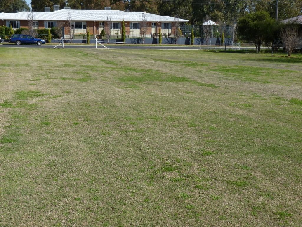 24 Cherry Street, OAKEY QLD 4401, Oakey - Thumbnail 2