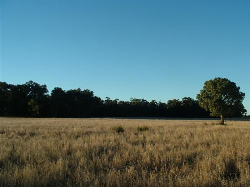 Lot 18 Panai Avenue, DUBBO NSW 2830, Dubbo - Image 1