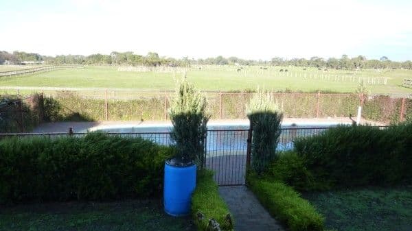 950 Robinsons Road, PEARCEDALE VIC 3912, Pearcedale - Thumbnail 6