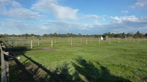 950 Robinsons Road, PEARCEDALE VIC 3912, Pearcedale - Thumbnail 7