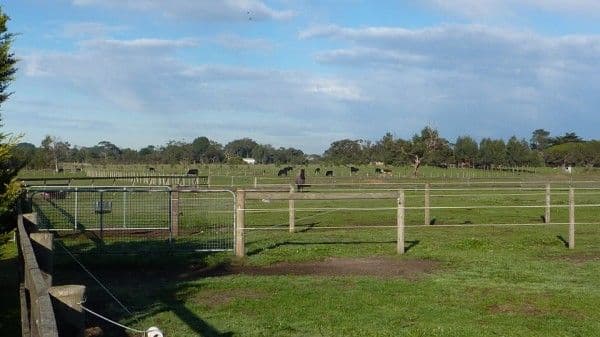 950 Robinsons Road, PEARCEDALE VIC 3912, Pearcedale - Thumbnail 8