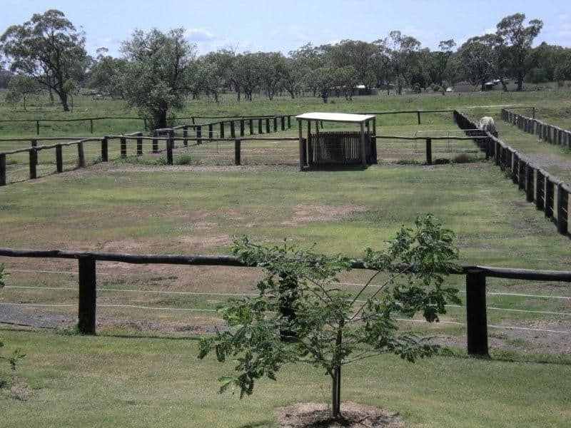 45 Beale Street, OAKEY QLD 4401, Oakey - Thumbnail 6