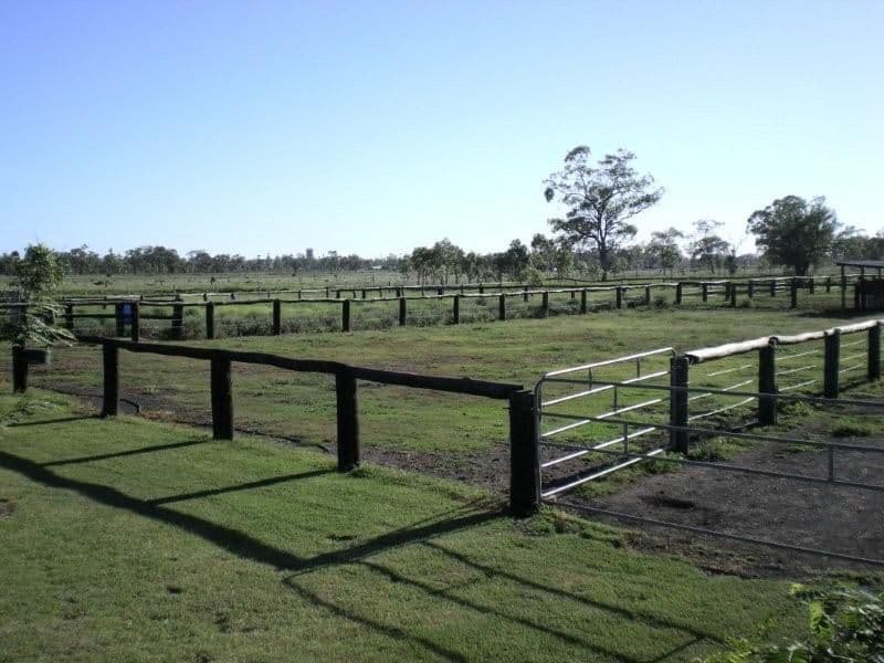45 Beale Street, OAKEY QLD 4401, Oakey - Thumbnail 8