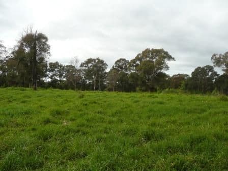 170 Russell Lane, OAKDALE NSW 2570, Oakdale - Thumbnail 2