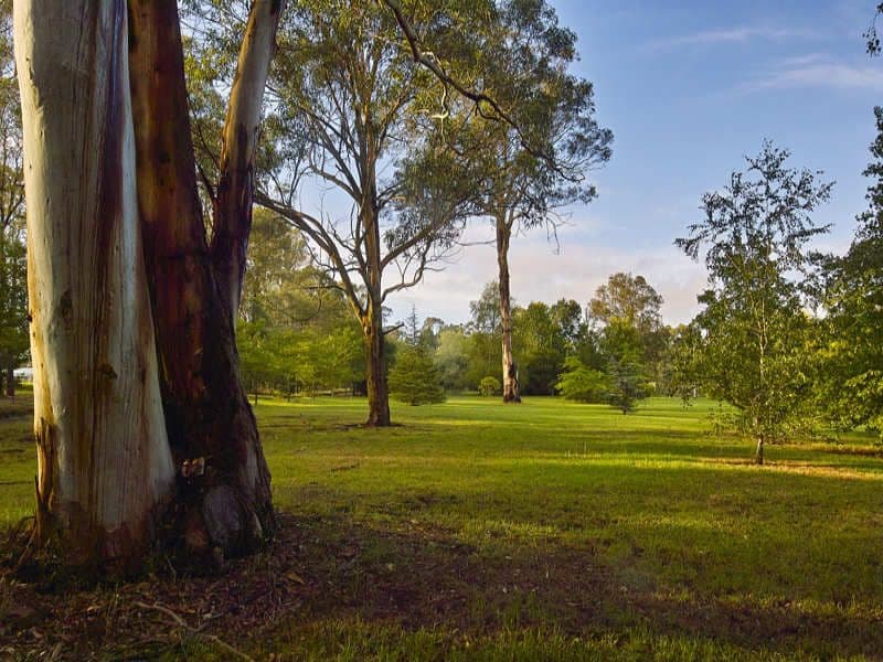 170 Russell Lane, OAKDALE NSW 2570, Oakdale - Thumbnail 6