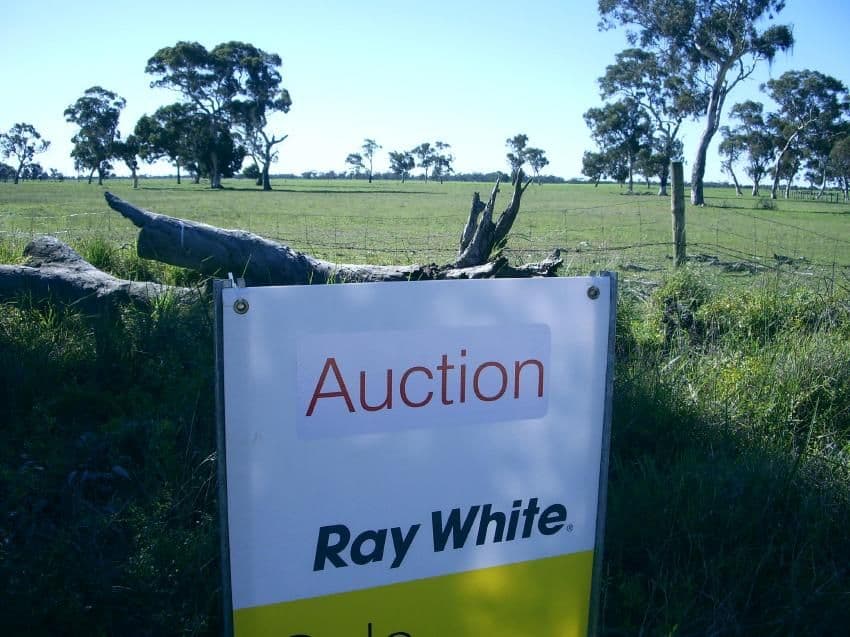 Lot 21 Hutchison Road, BORDERTOWN SA 5268, Bordertown - Image 1