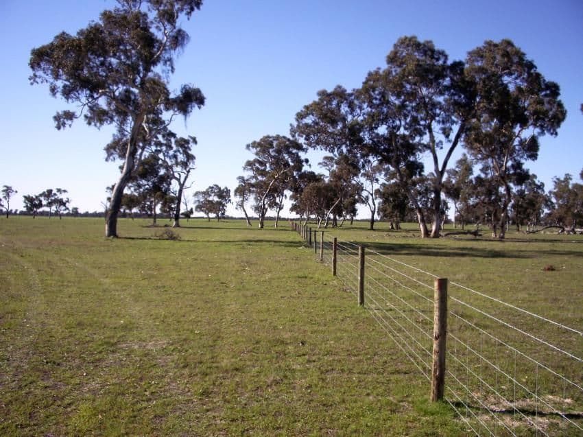 Lot 21 Hutchison Road, BORDERTOWN SA 5268, Bordertown - Thumbnail 5