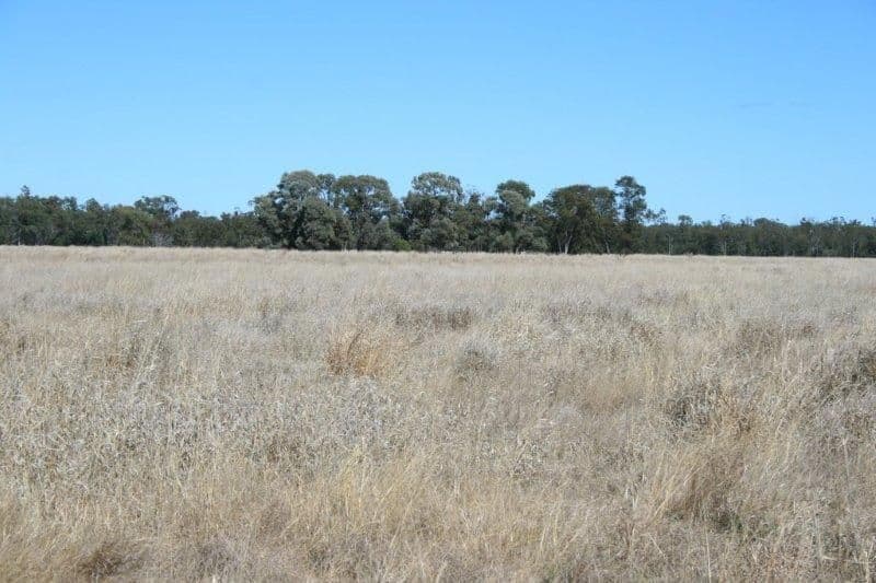 MOONIE QLD 4406, Moonie - Thumbnail 7