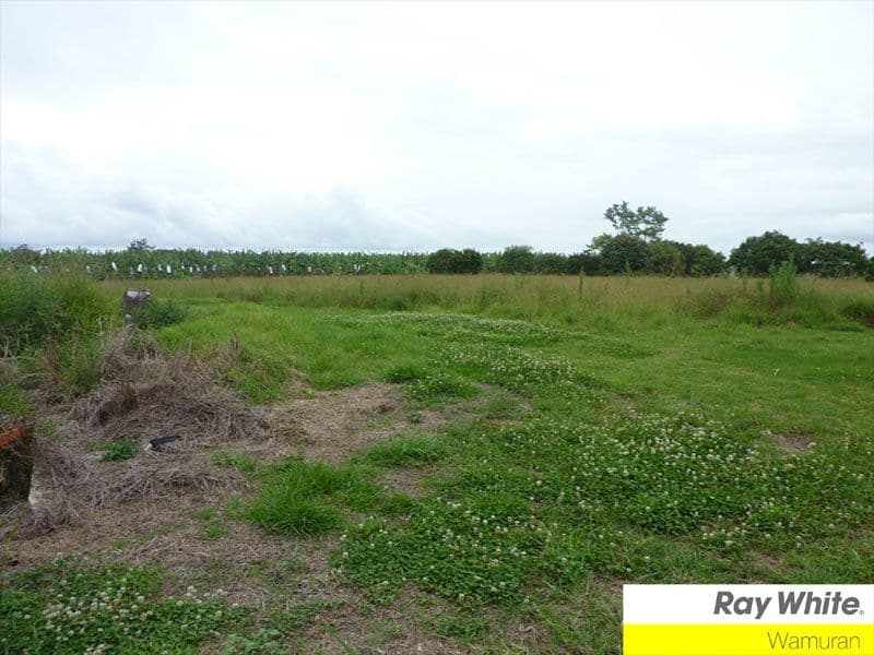 WAMURAN QLD 4512, Wamuran - Thumbnail 8