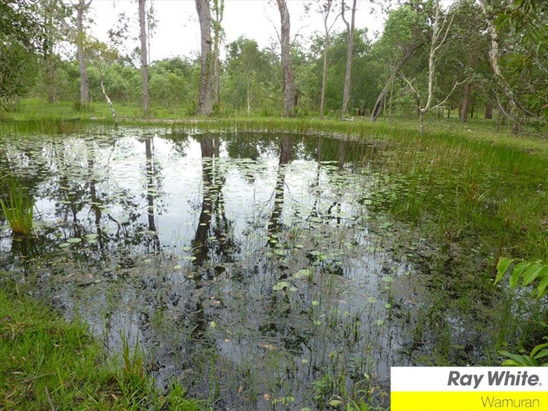 WAMURAN QLD 4512, Wamuran - Thumbnail 7