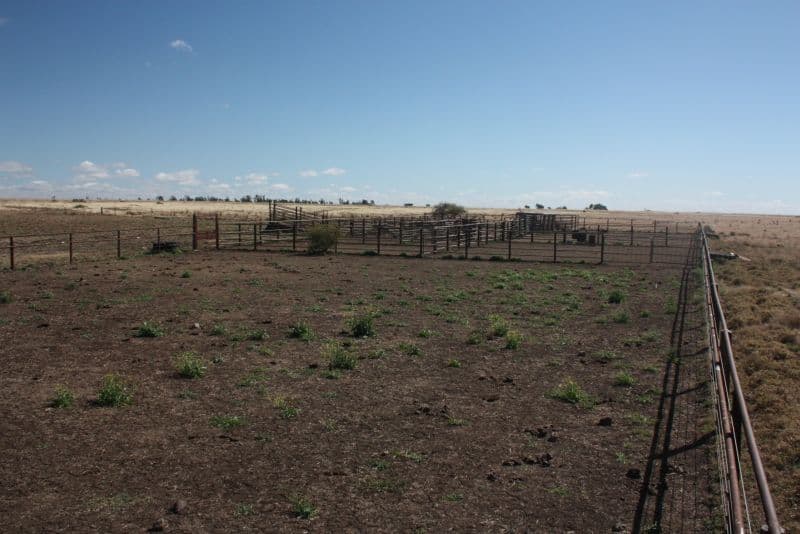 EMERALD QLD 4720, Emerald - Thumbnail 5