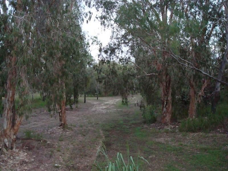 126 Waverley Street, BUCASIA QLD 4750, Bucasia - Thumbnail 2