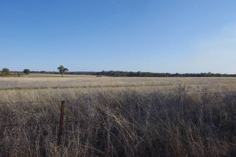 GUM FLAT NSW 2360, Gum Flat - Thumbnail 4
