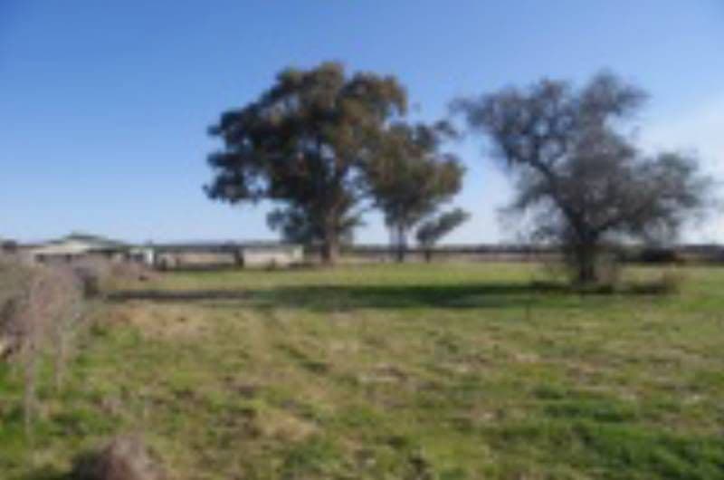 GUM FLAT NSW 2360, Gum Flat - Thumbnail 7