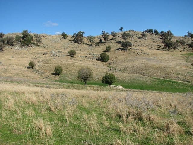 656 Mount McDonald Road, COWRA NSW 2794, Cowra - Thumbnail 8