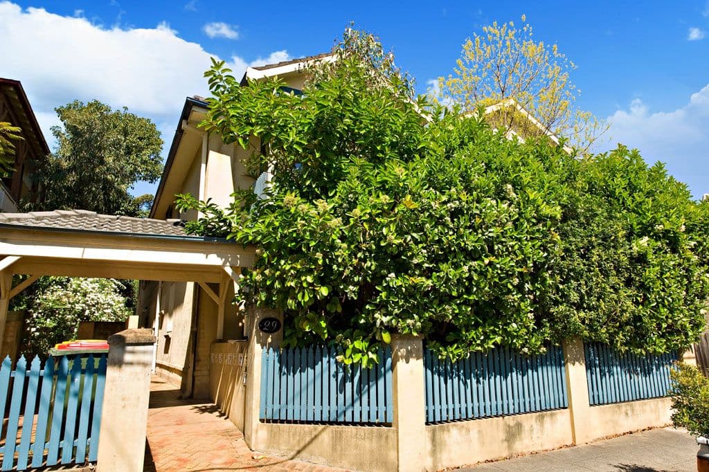 29 Fort Street, PETERSHAM NSW 2049, Petersham - Thumbnail 4