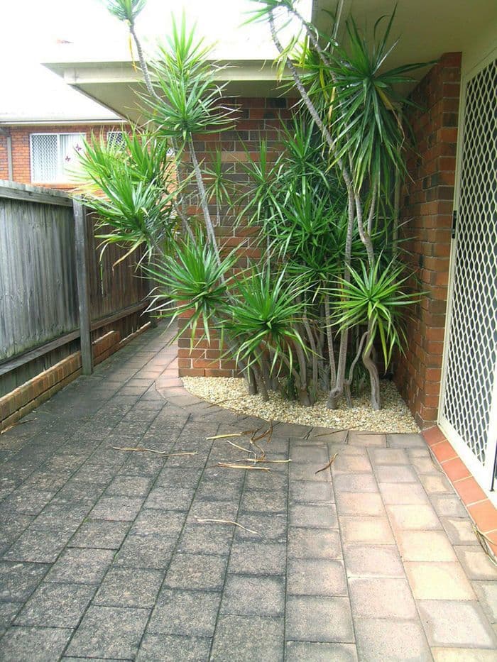 PORT MACQUARIE NSW 2444, Port Macquarie - Thumbnail 8