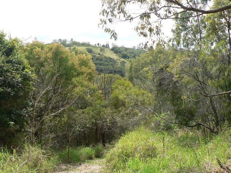 475 Woodbury Road, YEPPOON QLD 4703, Yeppoon - Thumbnail 4