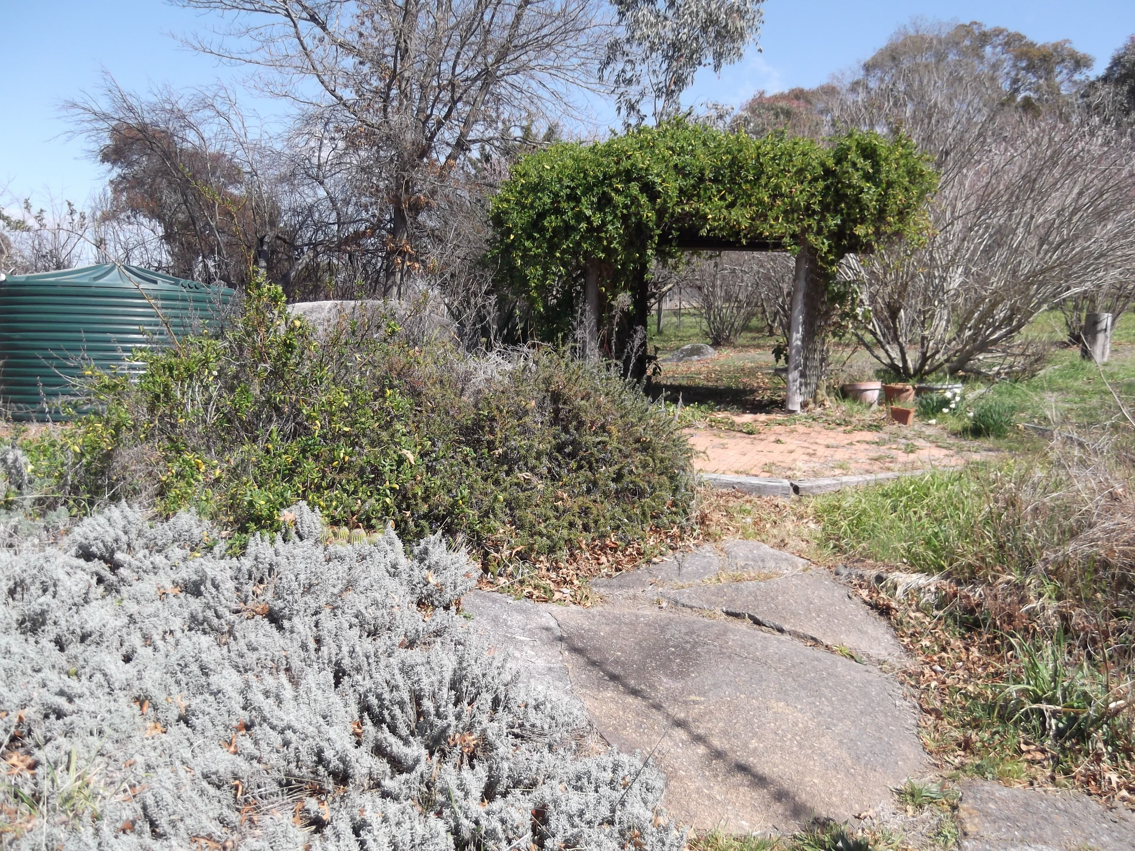 3 Caroline Street, BENDEMEER NSW 2355, Bendemeer - Thumbnail 8